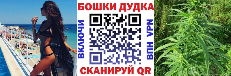 Бошки Шишки MAZAR  Купить закладки  Киселёвск 
